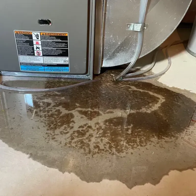 Appliance Leak Cleanup in Watsonville, CA